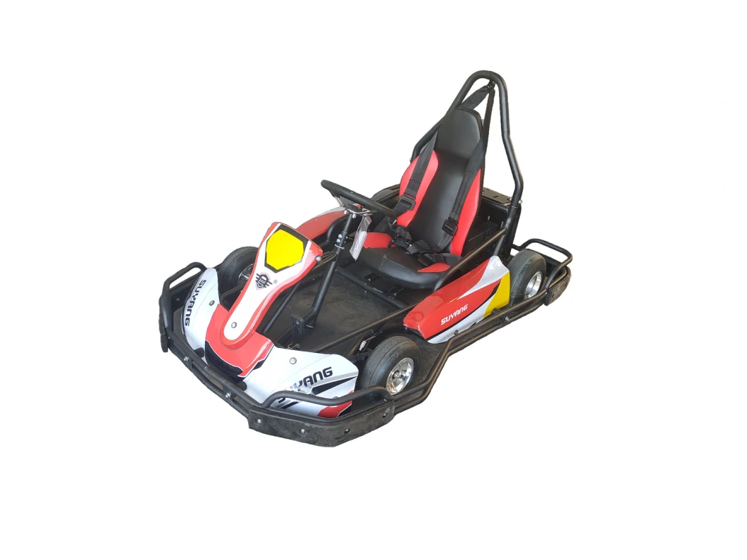 Suyang New 36V 35ah Engine Electric Kids Gas Go Kart for Sale