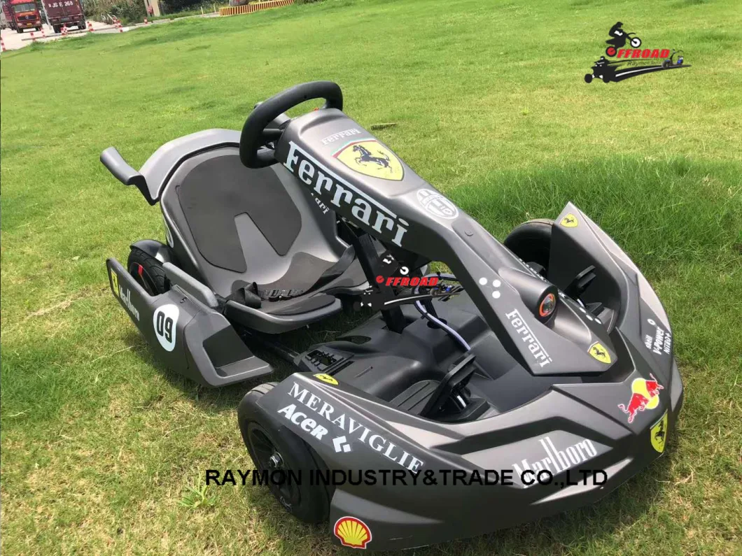 Electric Racing Go Kart 350W Kart Racing for Kids Adult Factory Wholesale