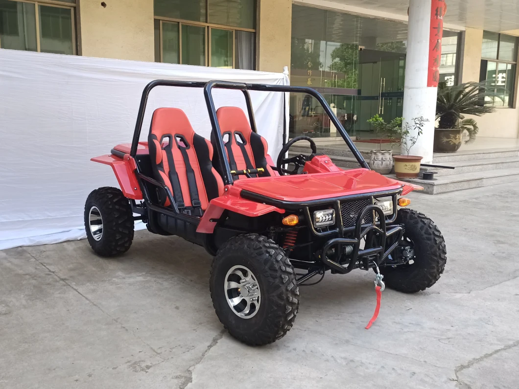 Gas Go Kart 200cc Adult Automatic Dune Buggy Go Kart Hot Sale