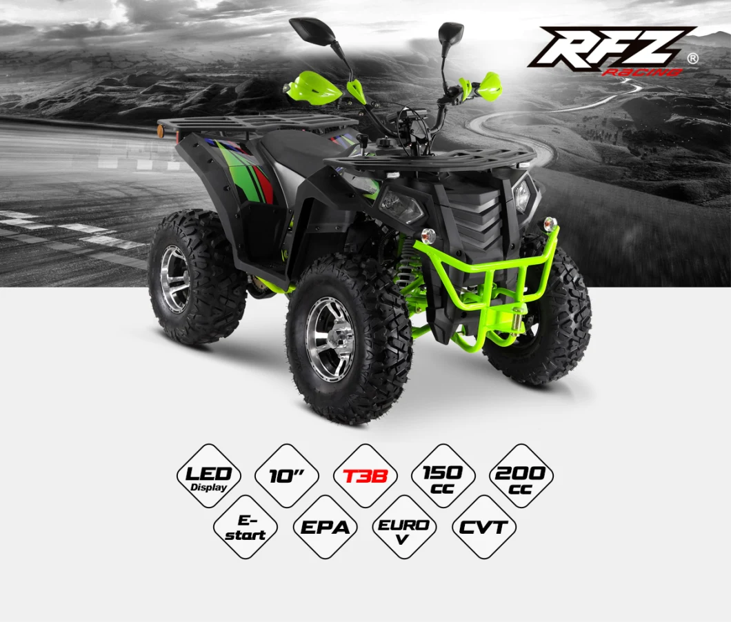 Commander 200 T3b EEC ATV, 10 Inch Wheel, LCD Speedmeter, China ATV, 200cc Apollo Electric ATV Kids ATV Electric Scooter Electric Jeep Kid ATV 4 Wheeler Atvs