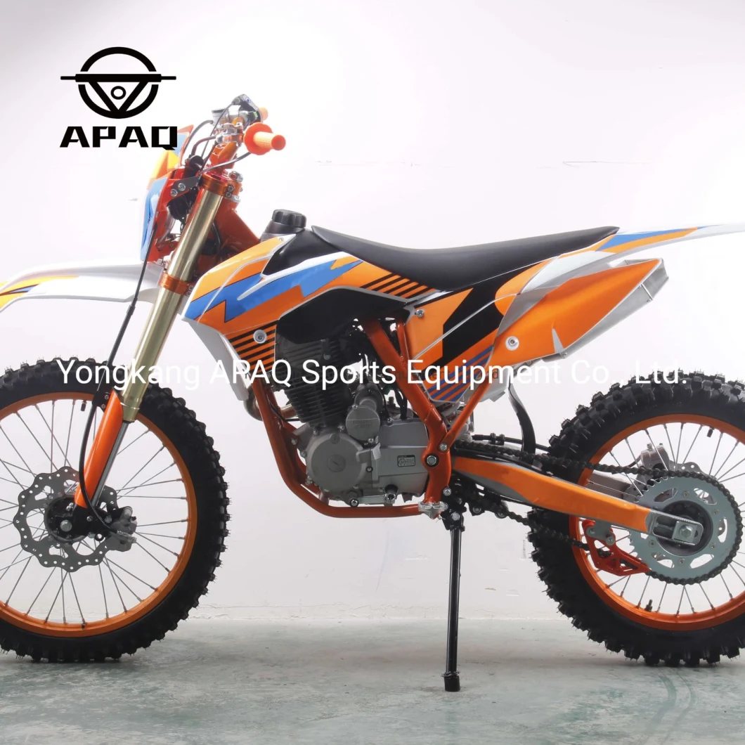 Apaq 300cc Motorcycle Dirt Bike on Road and off Road Gas Scooters for Sale