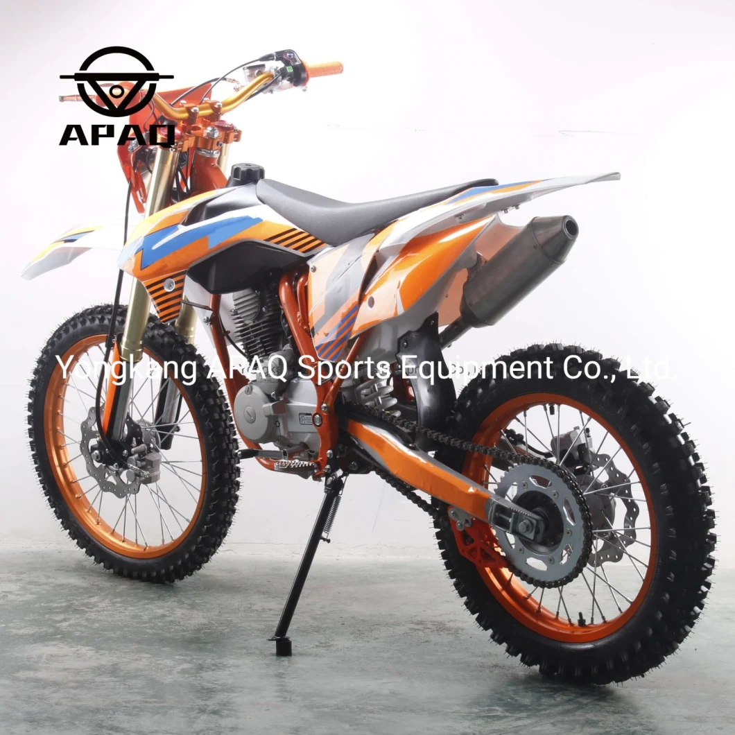 Apaq 300cc Motorcycle Dirt Bike on Road and off Road Gas Scooters for Sale