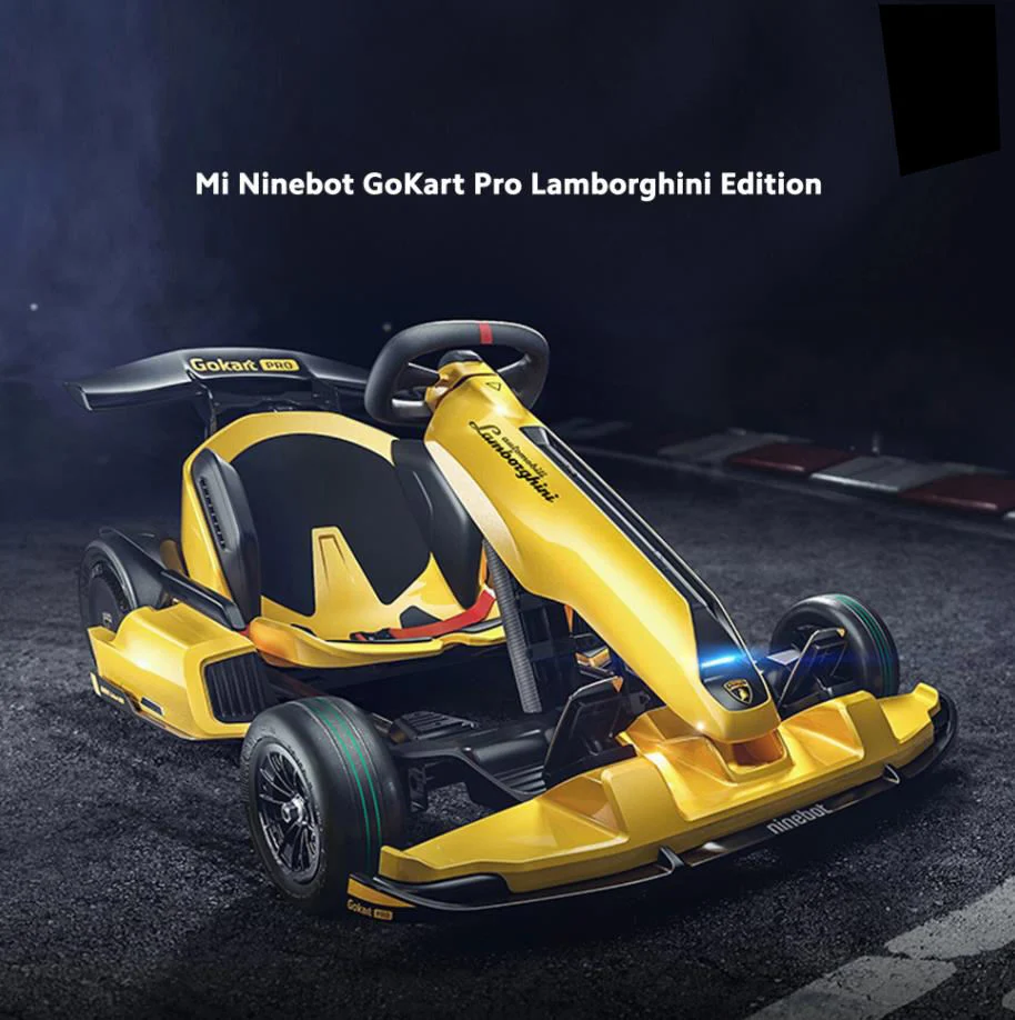 Ninebot Seg Way Xiaomi Lamborghini Gokart Karting Steering Cross Buggy Car Racing Adults off Road Go-Kart Electric Go Karts