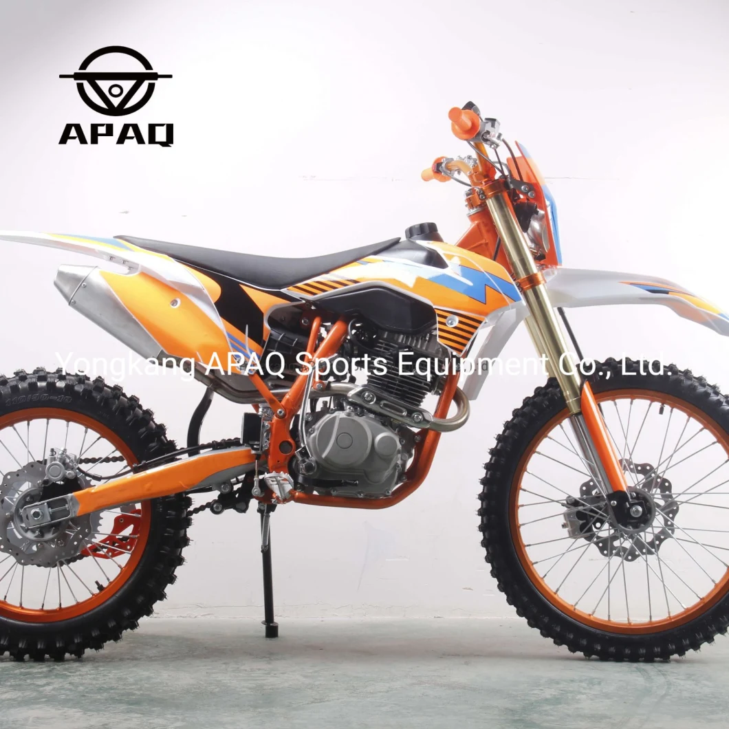 Apaq 300cc Motorcycle Dirt Bike on Road and off Road Gas Scooters for Sale