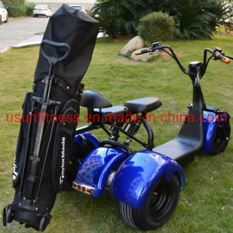 Promotion Hot Sale Luxury 2 Seater Electric Club Car Golf Carts Fat Tire 3 Wheels City Coco Golf Cart Electric Scooter Mobility Scooters for Golf Courses