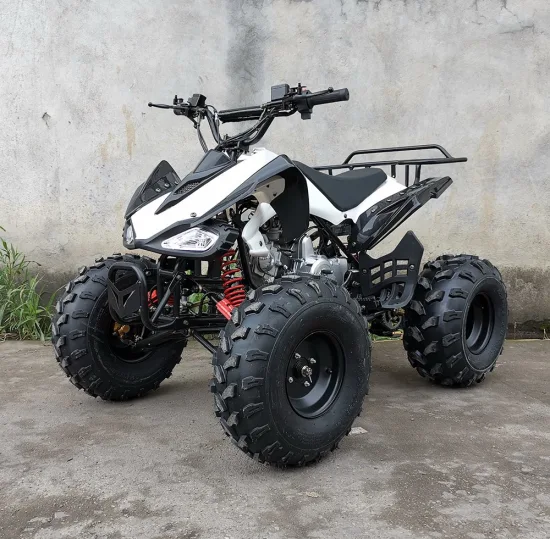 110cc 125cc 4輪ガスクワッド ATV クワッド