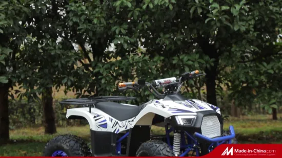 大人の子供のための新しい 4 輪電動 ATV クワッド 60V 1000W