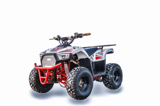 2022 電動クワッド ATV 60V 1000W 大人/若者向け