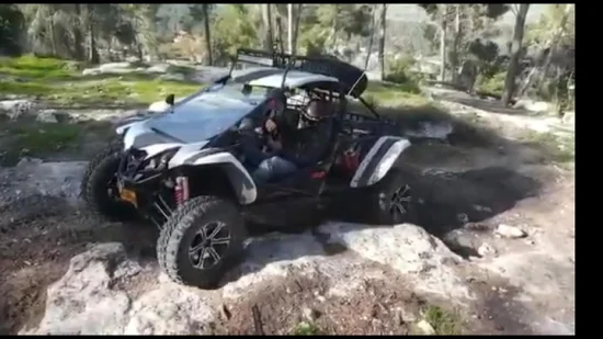 500cc 4X4 28kw ドッペルシッツェ オフロード砂丘バギー UTV ゴーカート